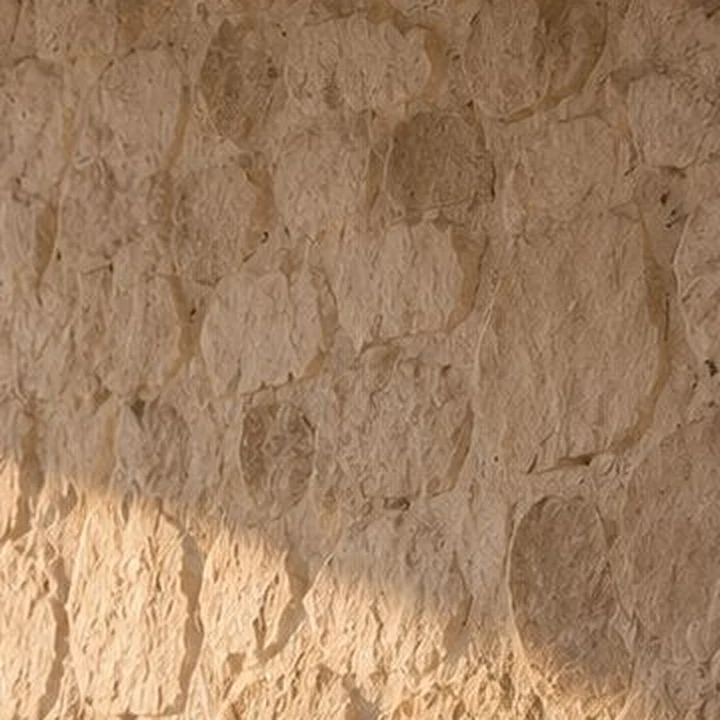 Pedra